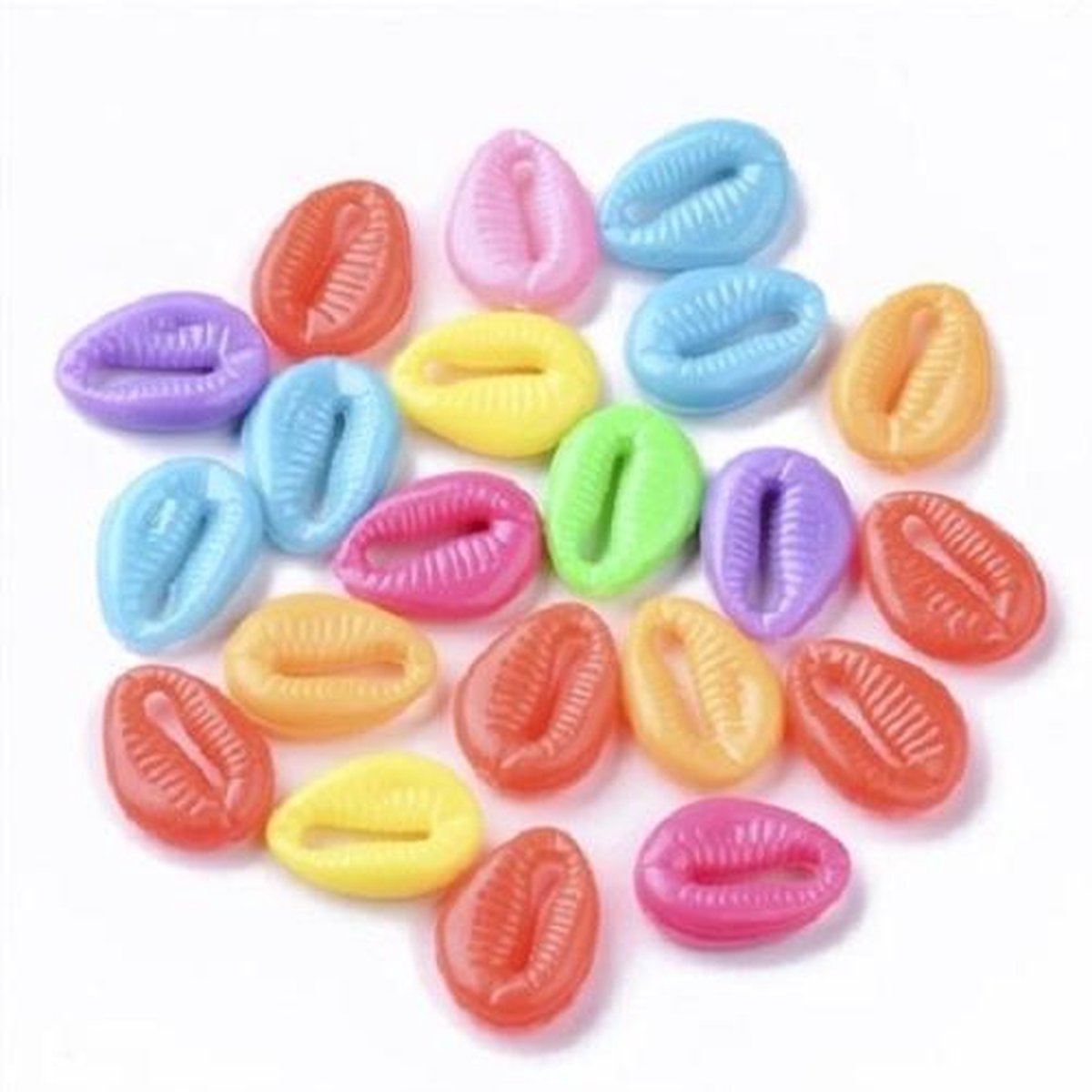 Gekleurde schelpen kralen | 100 stuks